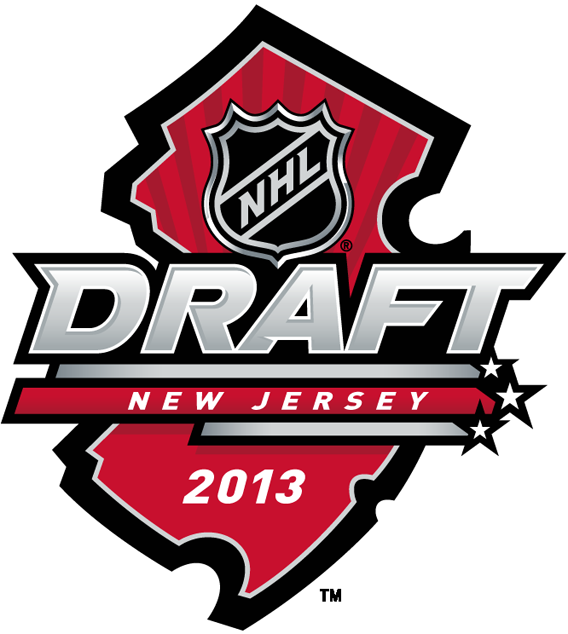 NHL Draft 2013 Primary Logo t shirts iron on transfers